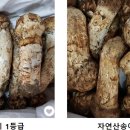 대청수산 네이버블로그