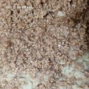 어제 농사지은 재료로 담은 김장 배추김치 이미지