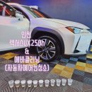 논곡로 | 인천논현동에바크리닝전문점│렉서스UX 에어컨 냄새 제거, 재방문으로 증명된 에바클리닝 후기