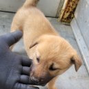 옥호2리 마을회관 이미지