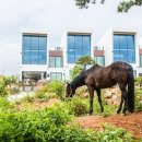 마리조아펜션 이미지