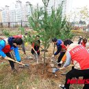 드림마트24 이미지