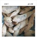 진세농원 이미지