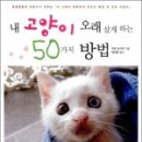 고양이 별 이미지