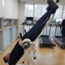 코리아헬스클럽 이미지