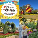 주차11 | 2025년 마산 가고파 국화축제 일정 실시간 후기 주차 11월 꽃축제