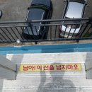 타미띠에 이미지