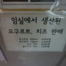 경주치즈학교 이미지