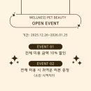 웰니스 펫뷰티 이미지