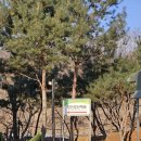 해지개캠핑장 이미지