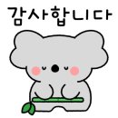 판교메젠모터스