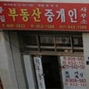 부일 부동산중개인 이미지