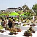 전국야생화전시회 이미지