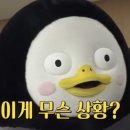 별빛캠프 이미지