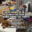 엉클펫 | 구읍뱃터 애견동반 숙소, 맛집, 카페까지 여행코스!(에어스카이, 엉클베어베이글, 영종조개시장, 비얀코)