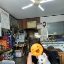 피플앤독 이미지