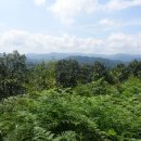 조양리마을회관 이미지