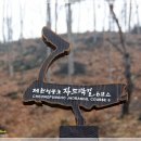 원거리6길6 Daum카페