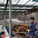 워니 농장 이미지