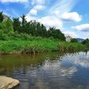 안양천생태이야기관 화장실 이미지