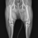 사직동물의료센터 이미지