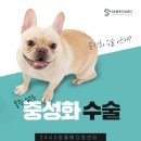 울산에스동물메디컬센터 이미지