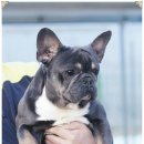 여아농장 이미지