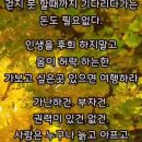 청빈한 삶의 발자취//늦기전에 인생을 즐겨라// 인생조언 16가지 //조영남의 목련화 이미지