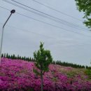 구룡꽃식물원