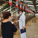 한우축산 이미지