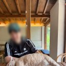 현풍로 | 대구 현풍 카페 추천! 고양이와 함께 힐링한 한옥 감성카페 스몰버드