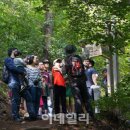 아르모니스톤 이미지