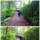 강민농장 이미지