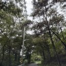 신수 낚시터 | 아산낚시터 신수낚시터