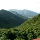 와룡휴양림진입로 이미지