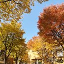 ㈜원스포츠물류센터 | 쿠팡물류(통탄1센터) 알바 신청부터 첫날 근무 - 쿠펀치앱. 셔틀앱 이용