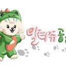 댕댕미용 이미지