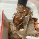 준네맛있는