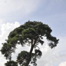 단산마을 이미지