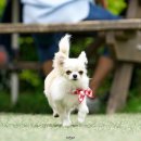 W&W(와앤와) 이미지