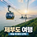 전곡차유리 | 제부도 서해랑 케이블카 & 전곡항 해적단 유람선 후기!
