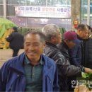 일로야채