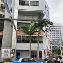 4일 여행 2일차 (오키나와 북부 버스 투어 내돈내산 후기, 만좌모, 코우치해변, 대교, 돌고래 쇼...