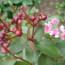 성남고등학교 이미지