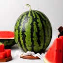 백다다기오이 4kg 7900원 / 수박5kg 11700원 무료배송! 이미지
