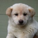 백순농장 이미지