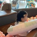 슈슈봉봉 이미지