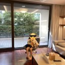 서머셋가든 | [제주] 아이와 함께하기 좋은 숙소 <제주 신화월드 서머셋> 이용 후기(위치, 숙소종류, 장단점)
