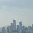 제주13月 이미지