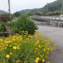 성흠농장 이미지